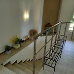 Villa флора