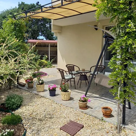 флора تشيرنوموريتس