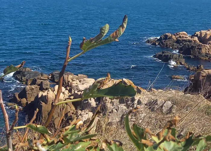 Villa флора Chernomorets